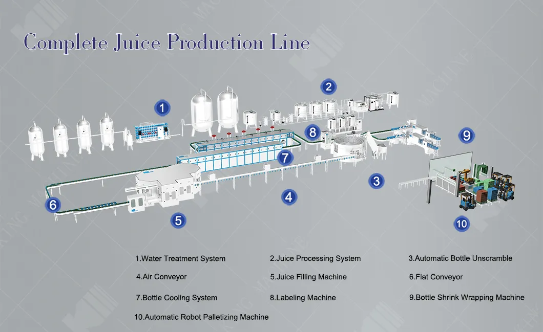 Complete Water Filling Line and Juice Filling Line Both with Industrial Filters and Reverse Osmosis for 8000bh of The Machine