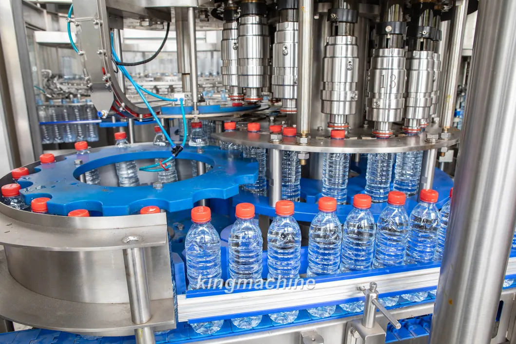 Filling a 200 Ml Bottle with 12, 000 Bottles Per Hour Automatic Machine with Carton and Water Purification Station