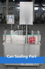 Full Automatic Capping Machine for Plastic/Glass Bottle