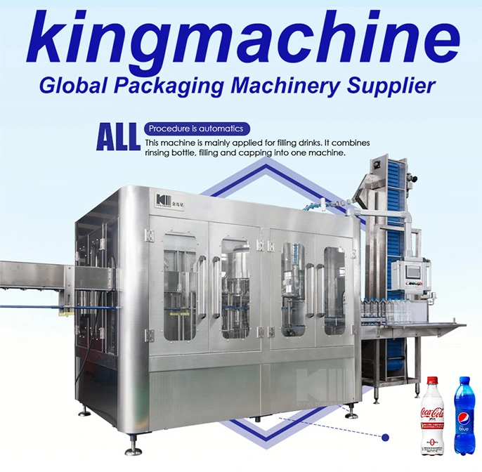 Automatic Glass Bottle Carbonated Drink Manufacturing Plant