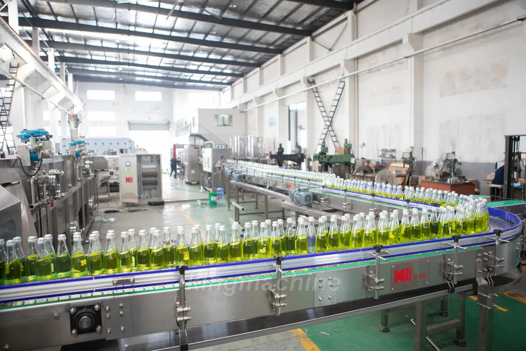 Carbonated Beverage Producing Line for Pet and Glass Bottle