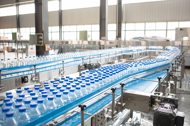 Bottle Conveyor