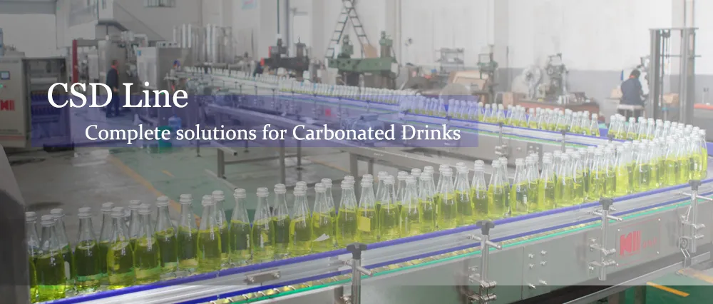 Carbonated Beverage Producing Line for Pet and Glass Bottle