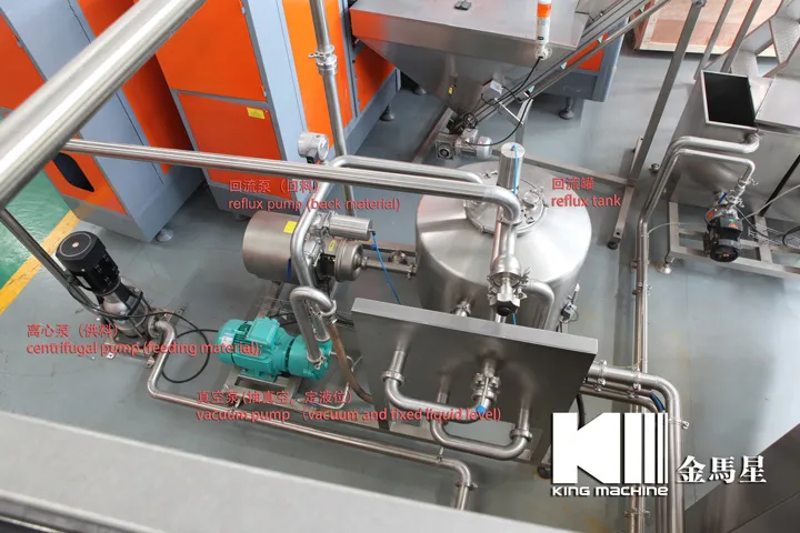 Filling a 200 Ml Bottle with 12, 000 Bottles Per Hour Automatic Machine with Carton and Water Purification Station