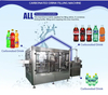 Automatic Glass Bottle Carbonated Drink Manufacturing Plant