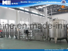 Water Treatment Chemical RO System Plant