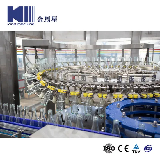 Carbonated Beverage Producing Equipment for Pet or Glass Bottle