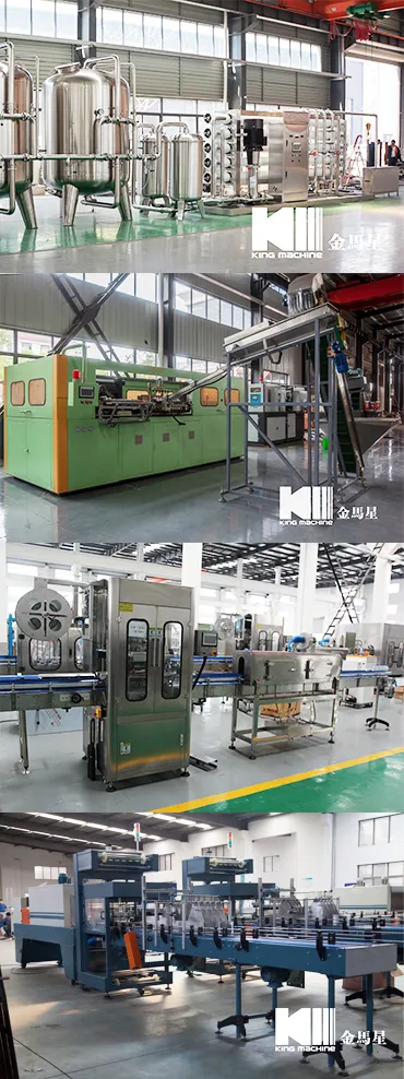 Zhangjiagang King Machine Company Filling Machine