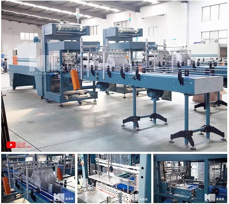 Automatic Beverage Bottle Packing Machine / Equipment