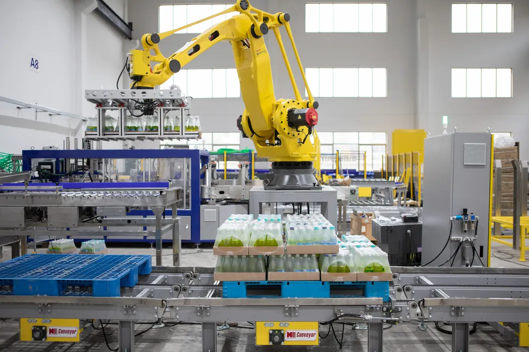 Automatic Robot Palletizer System